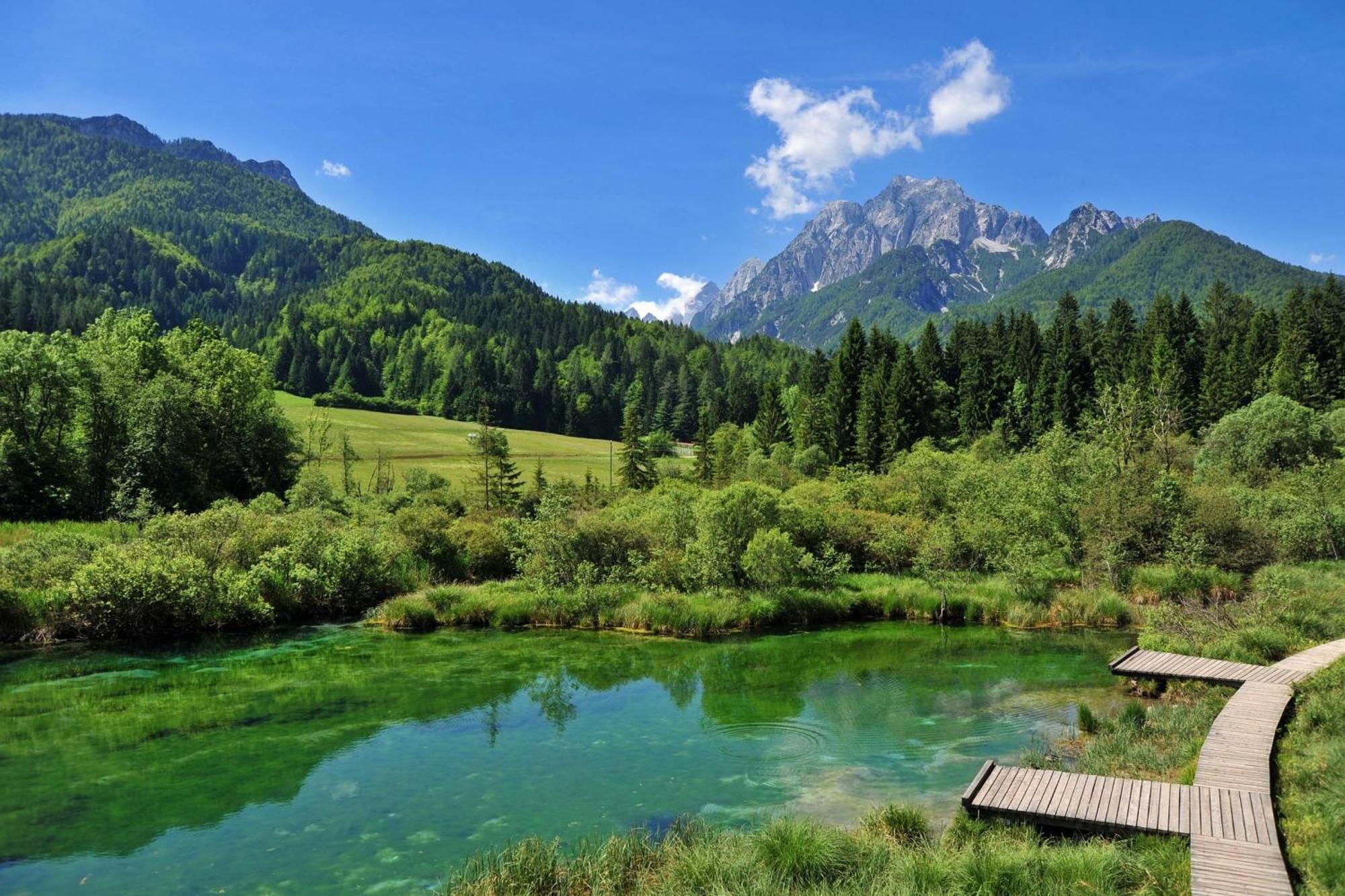 Alpine Retreat Gaja Kranjska Gora - Happy Rentals Buitenkant foto